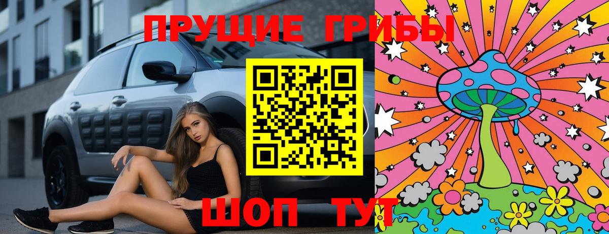 Псилоцибиновые грибы прущие грибы  Вход с VPN  Псилоцибиновые грибы прущие грибы  Амурск 